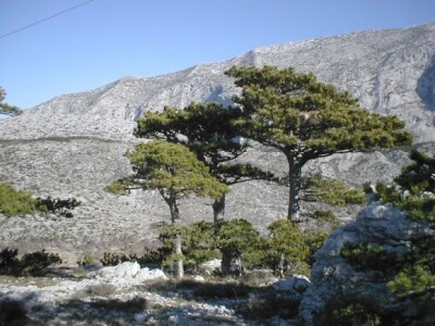 Primorska, južna, sunčana strana Biokova