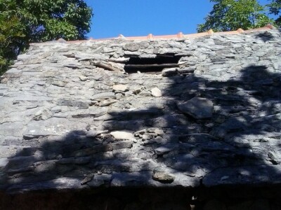 Biokovo i Mosor, novo stanište medvjeda? Biokovo i Mosor, novo stanište medvjeda?