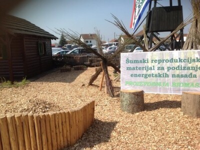 Biomasa - šumski reprodukcijski materijal