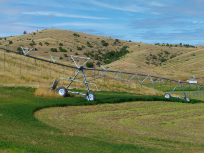Bioplan - sustavi navodnjavanja Reinke