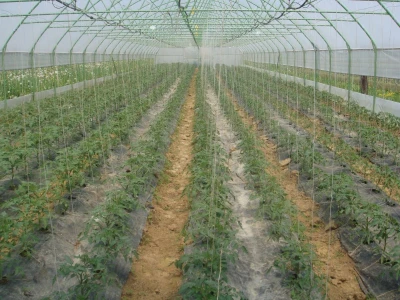 BIOS-PLASTENICI