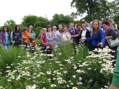 U biovrtu i starinsko cvijeće