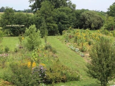 Pogled sa balkona na biovrt