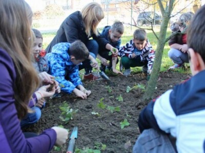 Povoćkajmo vrtove - sudjeluju i najmlađi
