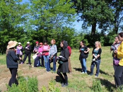 Radionice okupljaju dosta mladihe