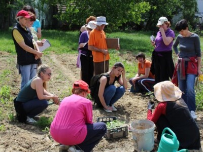 Učenje o organskoj proizvodnji hrane