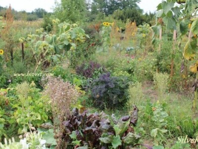 Biovrt u skladu s prirodom