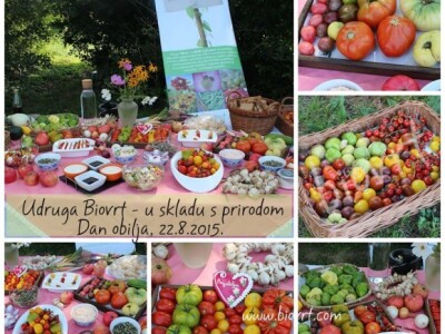 Udruga biovrt - Dan obilja