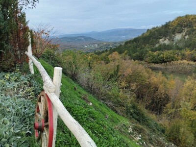 Biska i muzej u Humu