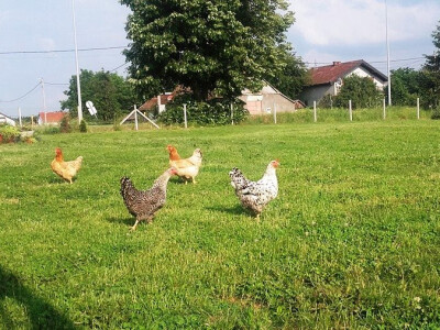 seljačko domaćinstvo Ana