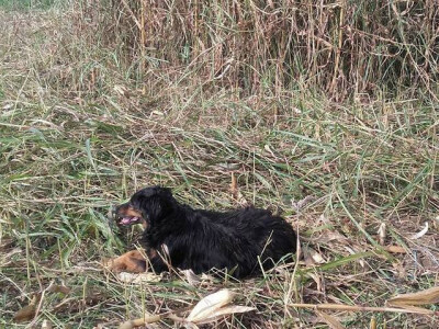 seljačko domaćinstvo Ana