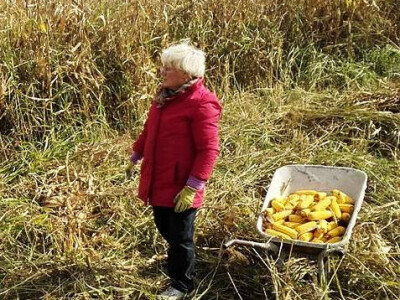 seljačko domaćinstvo Ana