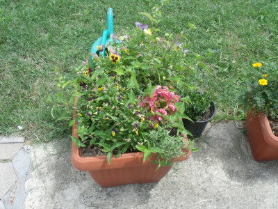 seljačko domaćinstvo Ana