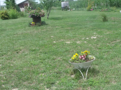 seljačko domaćinstvo Ana