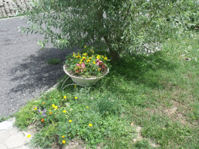 seljačko domaćinstvo Ana