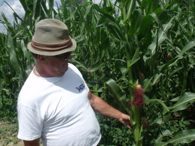 seljačko domaćinstvo Ana