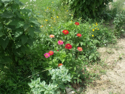 seljačko domaćinstvo Ana