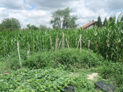 seljačko domaćinstvo Ana