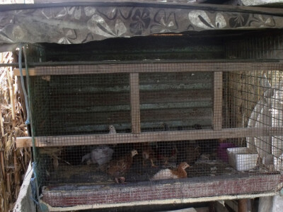 seljačko domaćinstvo Ana