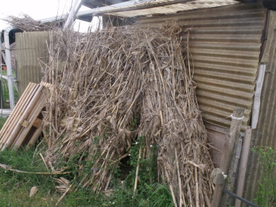 seljačko domaćinstvo Ana