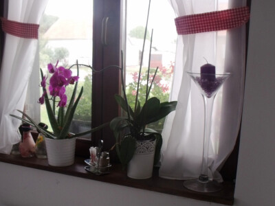 seljačko domaćinstvo Ana