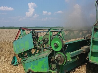 Srpanj kod Blaževićevih