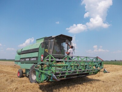 Srpanj kod Blaževićevih