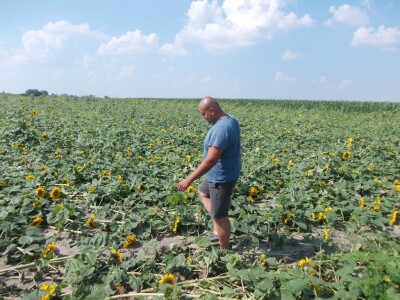 ovo će se morati potanjurati