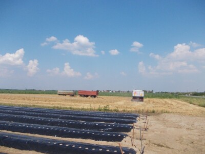 Srpanj kod Blaževićevih