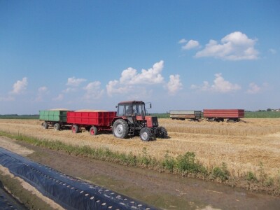 Srpanj kod Blaževićevih