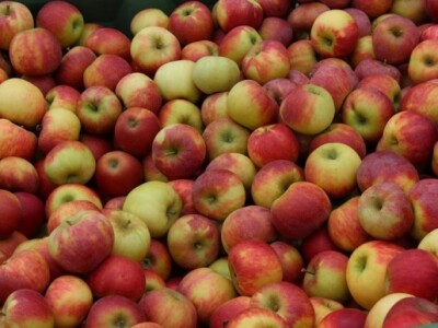 23. Jesenski međunarodni Bjelovarski sajam