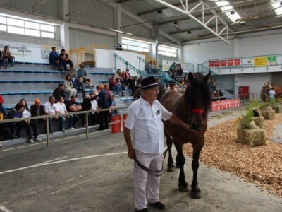 23. Jesenski međunarodni Bjelovarski sajam