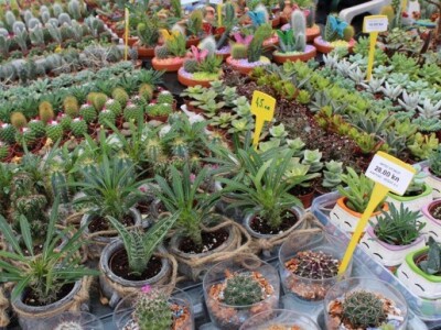 23. Jesenski međunarodni Bjelovarski sajam