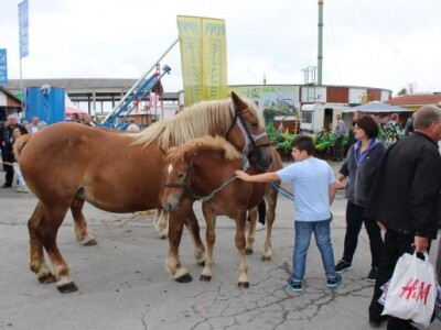 23. Jesenski međunarodni Bjelovarski sajam