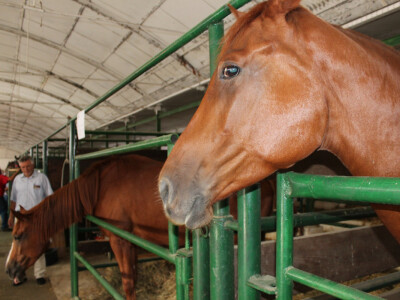 24. Jesenski međunarodni bjelovarski sajam