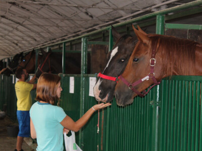 24. Jesenski međunarodni bjelovarski sajam