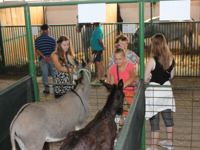 24. Jesenski međunarodni bjelovarski sajam