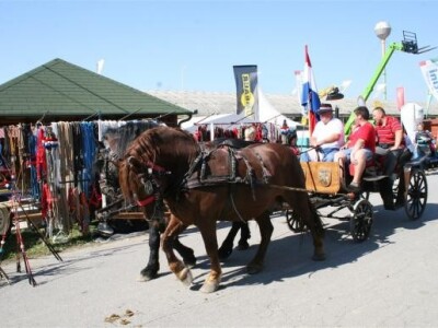Revijalna vožnja zapregama