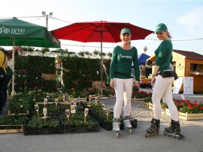 Agroklub hostese u akciji