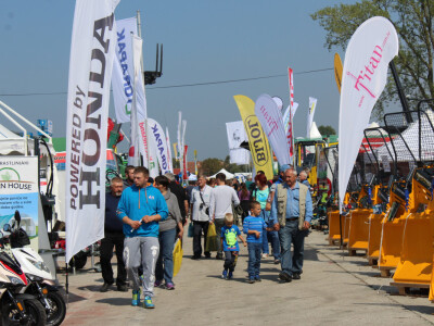 Toplo i suho vrijeme rezultiralo je dobrom posječenošću