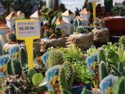 Kaktusi i ukrasni ručno rađeni elementi