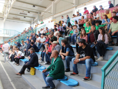 Dobro popunjena tribina aukcijske dvorane