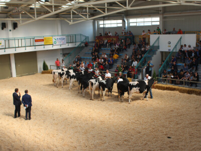 Državna stočarska izložba