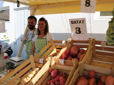 OPG Perec i ponuda batata