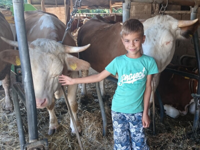 Luka ponekad pomaže i u staji Luka ponekad pomaže i u staji