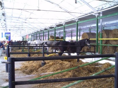 Bjelovar Sajam Gudovac 2008