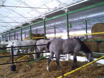 Bjelovar Sajam Gudovac 2008