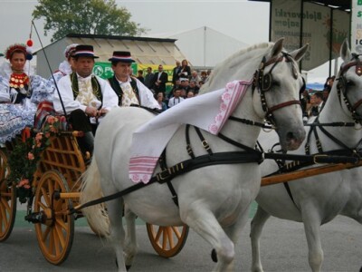 Jesenski Bjelovarski sajam 2009