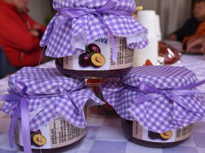 Bjelovarsko-bilogorska županija s uzgajivačima voća i povrća