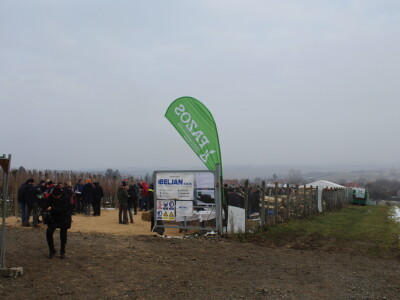 Blagdan sv. Vinka pokušalište u Mandićevcu FAZOS